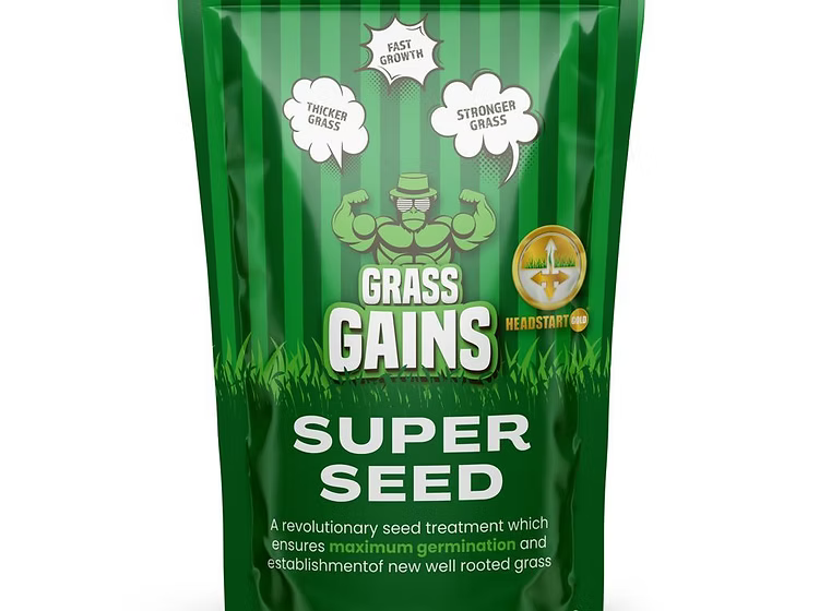 Lawn Super Seed [Fast Growth] - 1KG