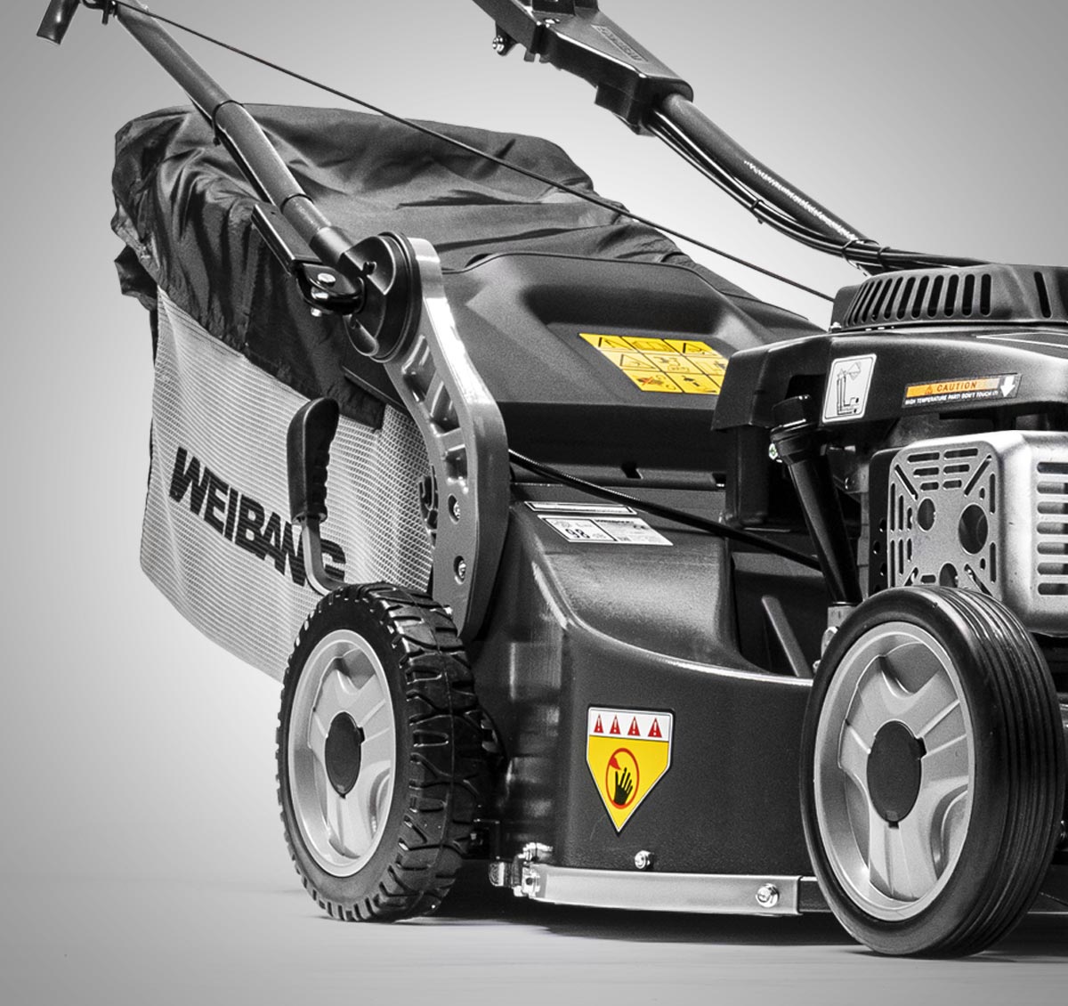 Weibang Virtue 53 ASD BBC LV